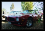 Pontiac trans Am 72 - 1